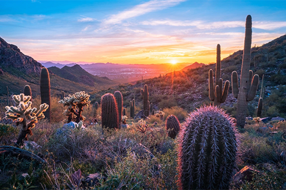 Toma de paisaje del desierto de Arizona